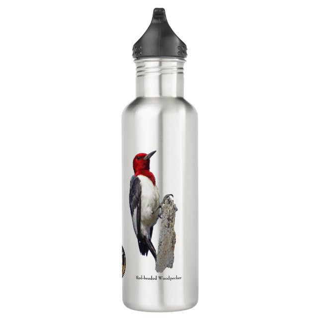 Vogelflasche Edelstahlflasche (Rechts)