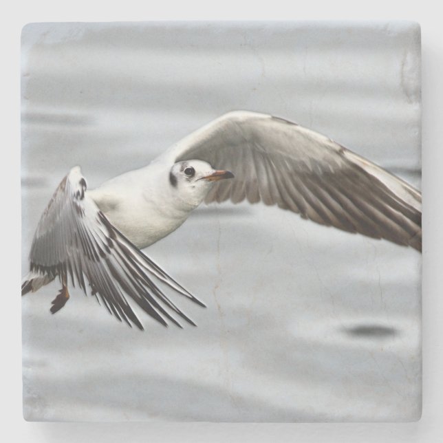 Vogelflug der Seagull Steinuntersetzer (Vorderseite)