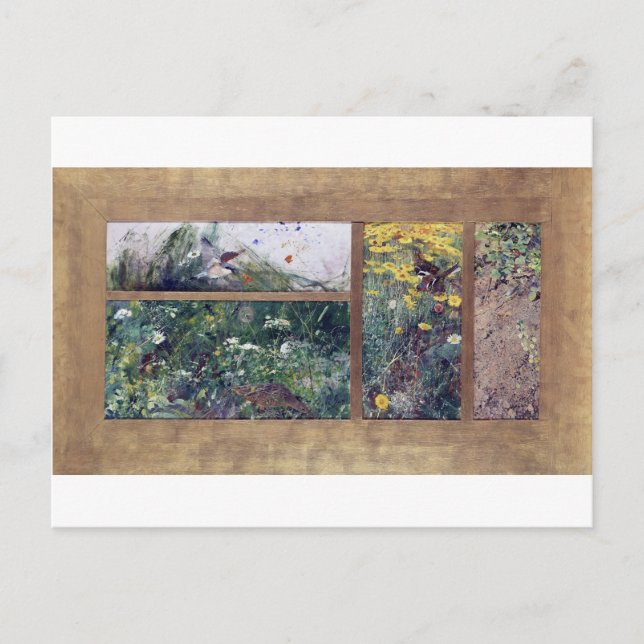 Vogelforschung, Bruno Liljefors Postkarte (Vorderseite)