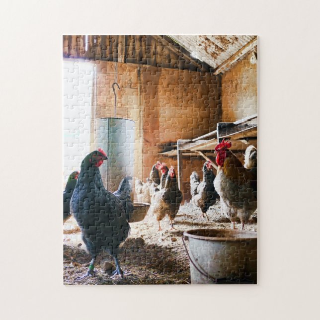 Vogelfotografie - Beste Fotos für Wildtiere (Vertikal)