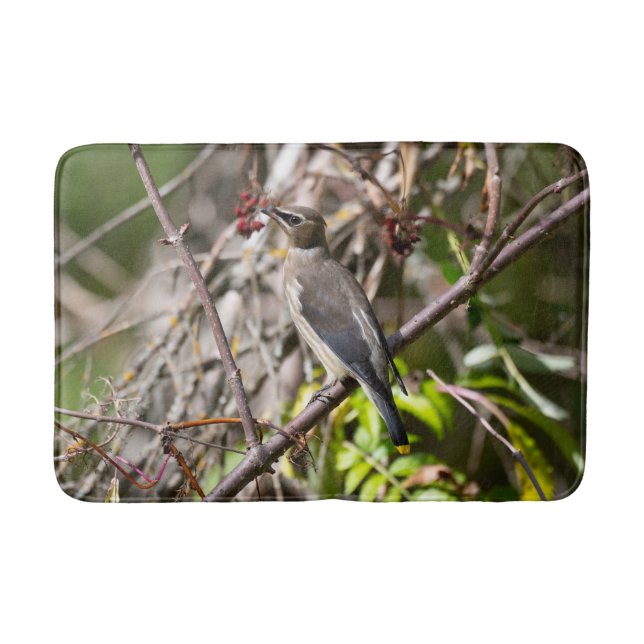 Vogelfotografie, Bohemisches Waxwing Badematte (Vorderseite)
