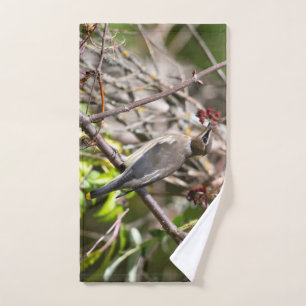 Vogelfotografie, Bohemisches Waxwing Badhandtuch Set