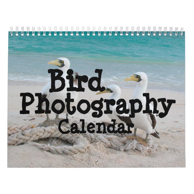 Vogelfotografie Kalender (Titelbild)