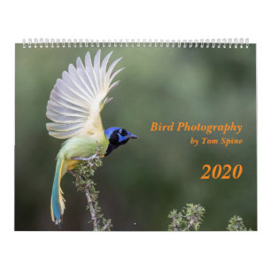 Vogelfotografie von Tom Spine, Kalender 2020