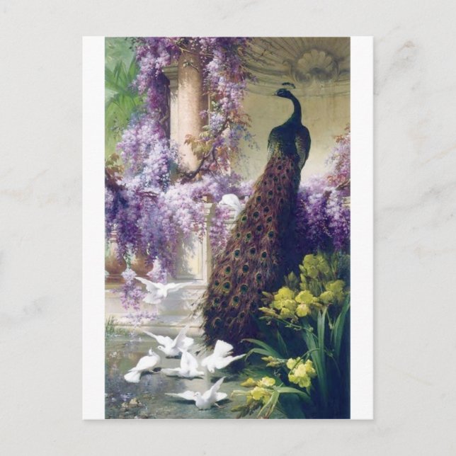 Vogelgeflügel aus Pfauen und weißen Tauben Postkarte (Vorderseite)