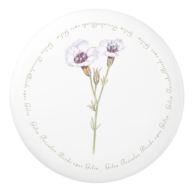 Vogelgesicht-Gilia-Aquarell Keramikknauf (Vorderseite)