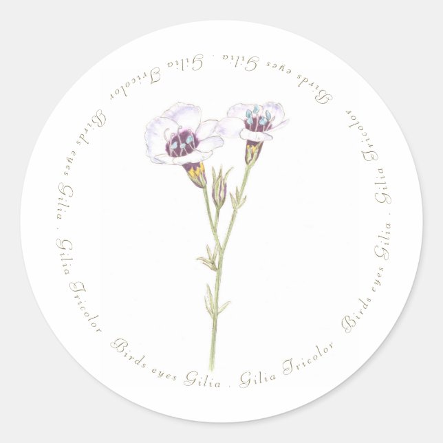 Vogelgesicht-Gilia-Aquarell Runder Aufkleber (Vorderseite)