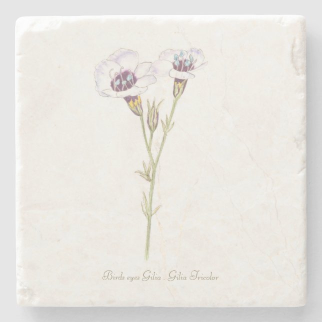 Vogelgesicht-Gilia-Aquarell Steinuntersetzer (Vorderseite)