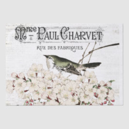 Vogelgezwirnpapier Seidenpapier