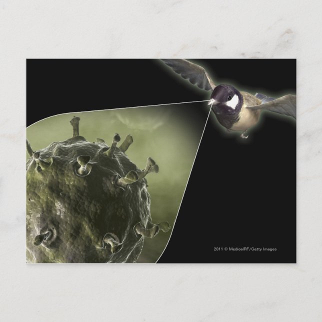 Vogelgrippe aus Vögeln Postkarte (Vorderseite)