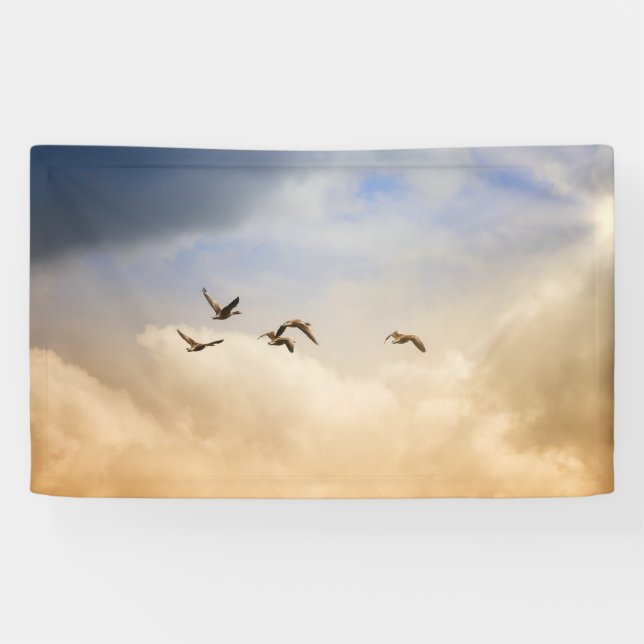 Vogelgrippe im Flug Banner (Horizontal)