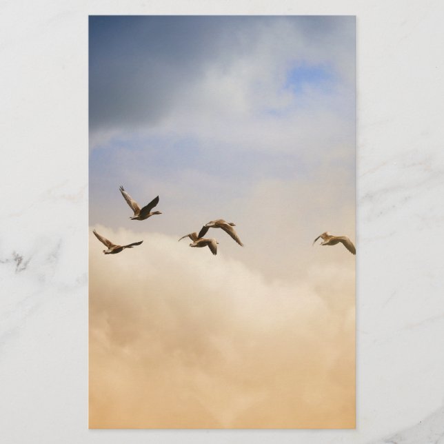 Vogelgrippe im Flug Briefpapier (Vorderseite)