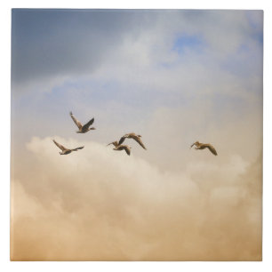 Vogelgrippe im Flug Fliese