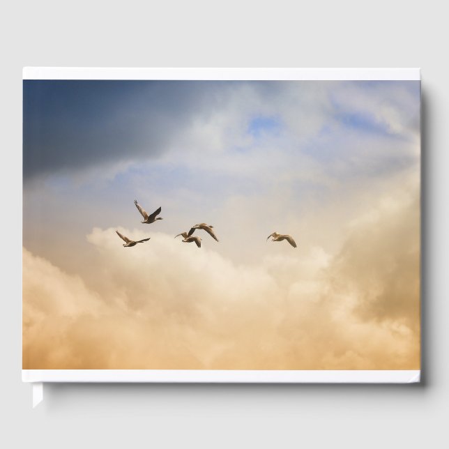 Vogelgrippe im Flug Gästebuch (Vorderseite)