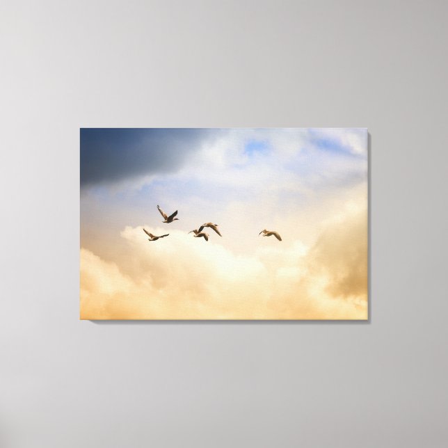 Vogelgrippe im Flug Leinwanddruck (Vorderseite)
