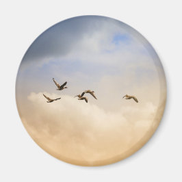 Vogelgrippe im Flug Magnet