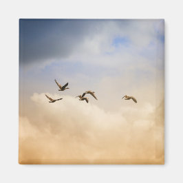 Vogelgrippe im Flug Magnet