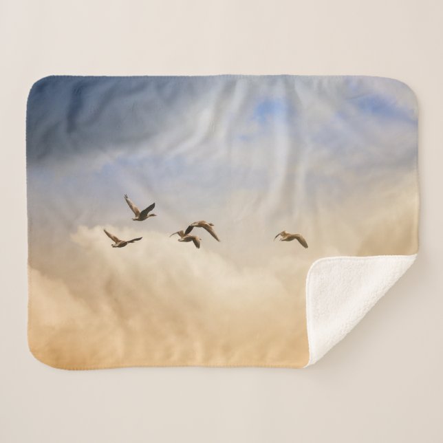 Vogelgrippe im Flug Sherpadecke (Vorderseite (Horizontal))