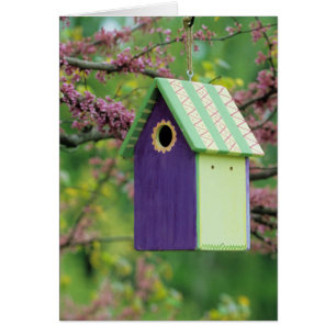 Vogelhaus auf einem Redbud-Baum