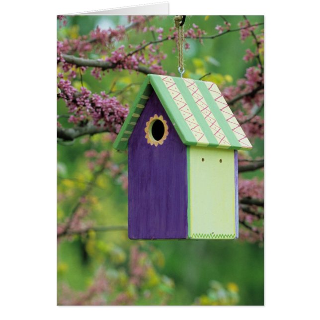 Vogelhaus auf einem Redbud-Baum (Vorne)