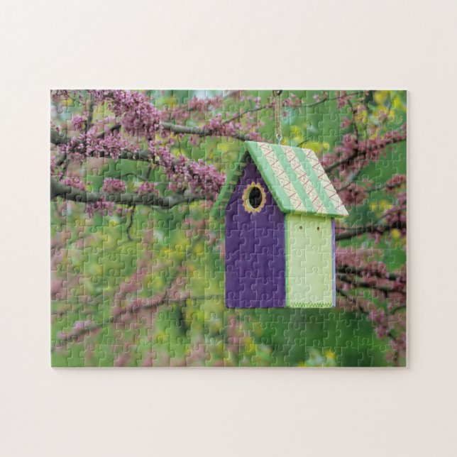 Vogelhaus auf einem Redbud-Baum (Horizontal)