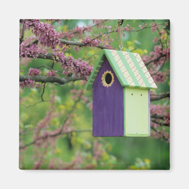 Vogelhaus auf einem Redbud Baum Magnet (Vorne)