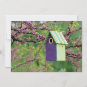 Vogelhaus auf einem Rotknospenbaum Dankeskarte