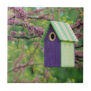 Vogelhaus auf einem Rotknospenbaum Fliese
