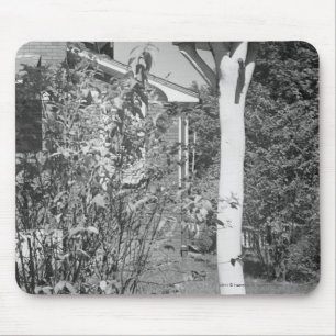 Vogelhaus im Garten Mousepad