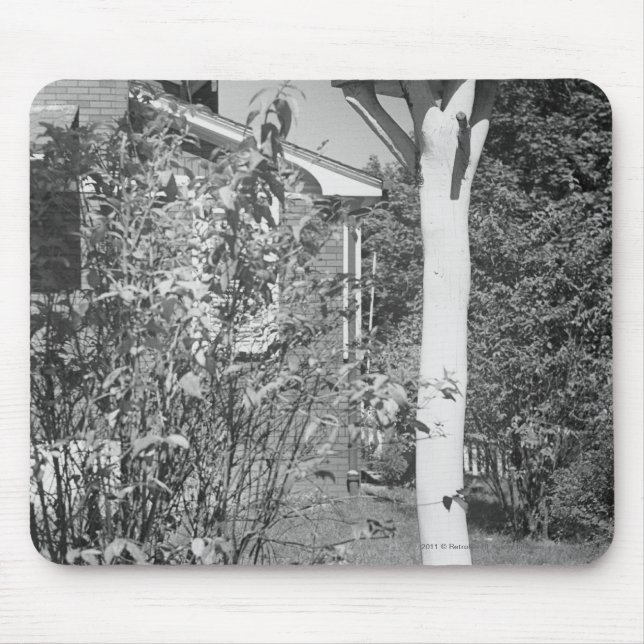 Vogelhaus im Garten Mousepad (Vorne)