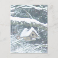 Vogelhaus im Schnee