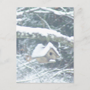Vogelhaus im Schnee Postkarte