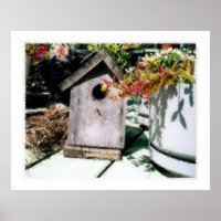 Vogelhaus