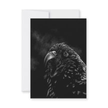 Vogelhirn