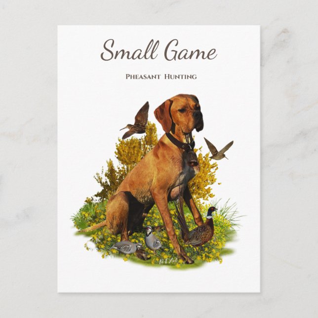 Vogelhund, Fasanenjagd Postkarte (Vorderseite)