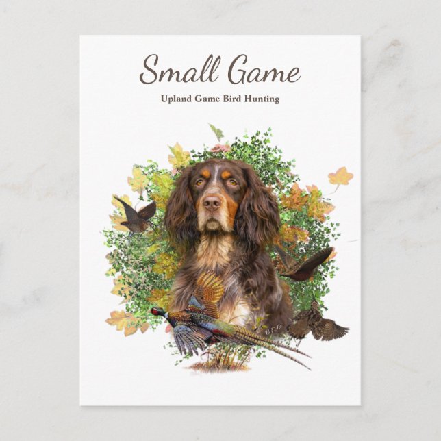 Vogelhund , Vogeljagd in Upland Postkarte (Vorderseite)