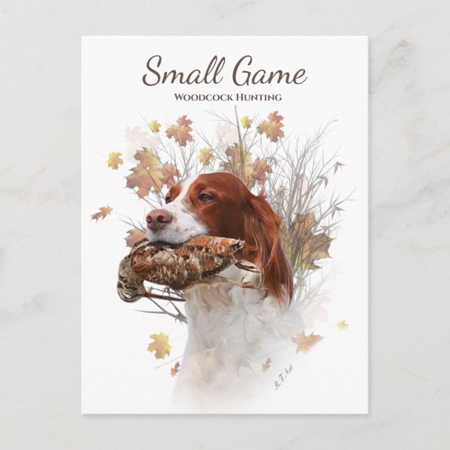 Vogelhund, Waldhundjagd Postkarte (Vorderseite)