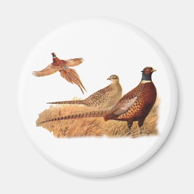 Vogeljagd Magnet (Vorne)