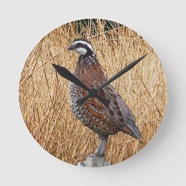 Vogeljagdgeschenke, Bobwhite Quail Junting Runde Wanduhr (Vorderseite)