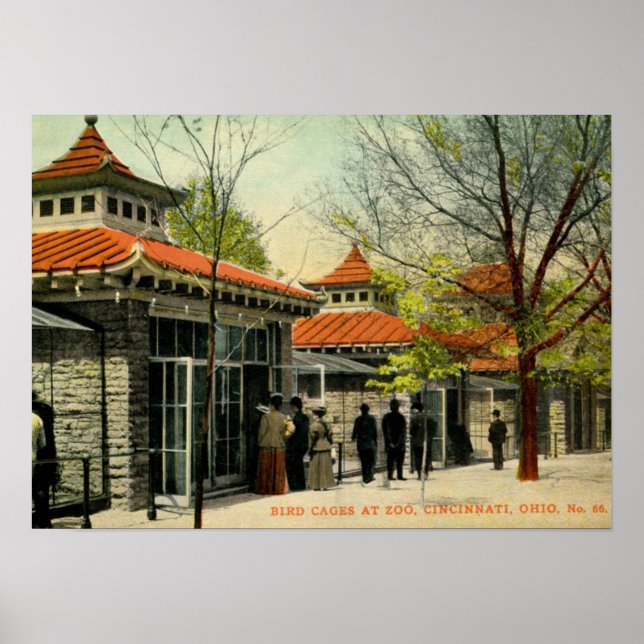 Vogelkäfige in Zoo, Cincinnati, OH Vintag Poster (Vorne)
