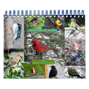 Vogelkalender 2016 aus meinem Fenster Kalender