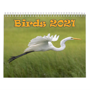 Vogelkalender 2021 kalender