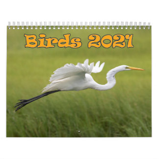 Vogelkalender 2021 kalender