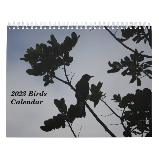 Vogelkalender 2023 kalender (Titelbild)