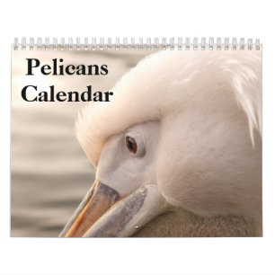 Vogelkalender 2025 kalender