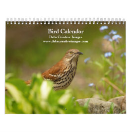 Vogelkalender 2026 kalender
