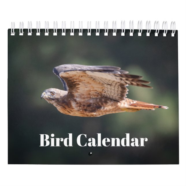Vogelkalender 2026 kalender (Titelbild)