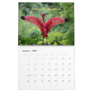 Vogelkalender 2026 - mit Bibelversen Kalender