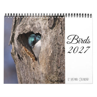 Vogelkalender 2027 kalender