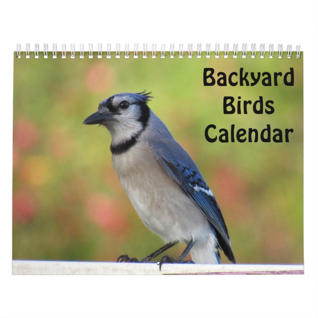 Vogelkalender für Hinterhofplätze Kalender (Titelbild)